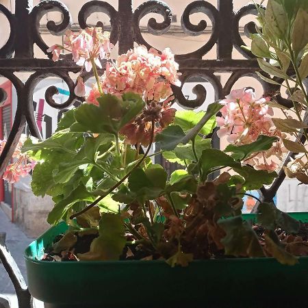 Apartamento Lavapies Al Lado Del Rastro Madrid Buitenkant foto
