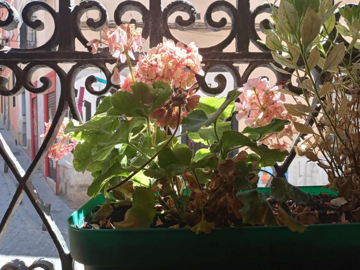 Apartamento Lavapies Al Lado Del Rastro Madrid Buitenkant foto